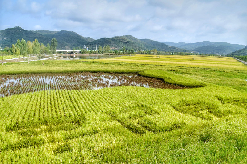 webwxgetmsgimg (15).jpg