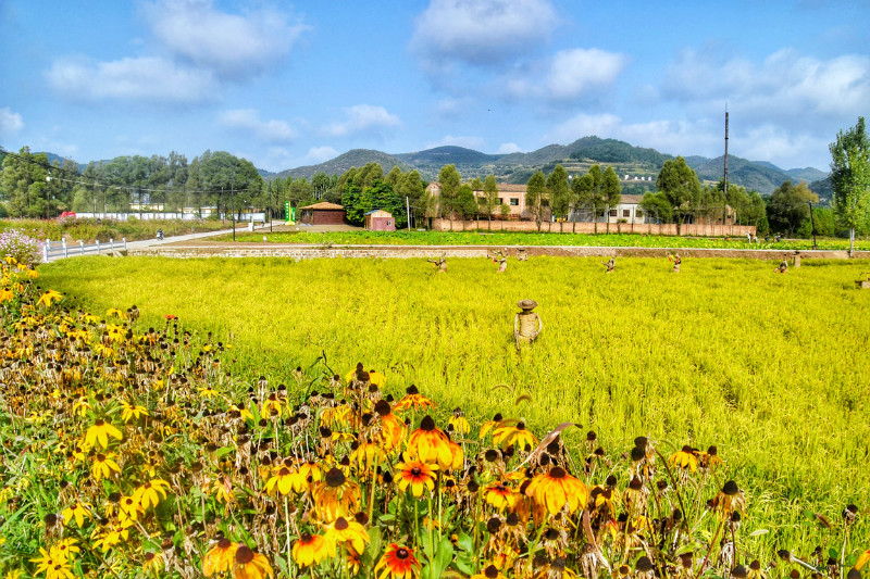 webwxgetmsgimg (17).jpg