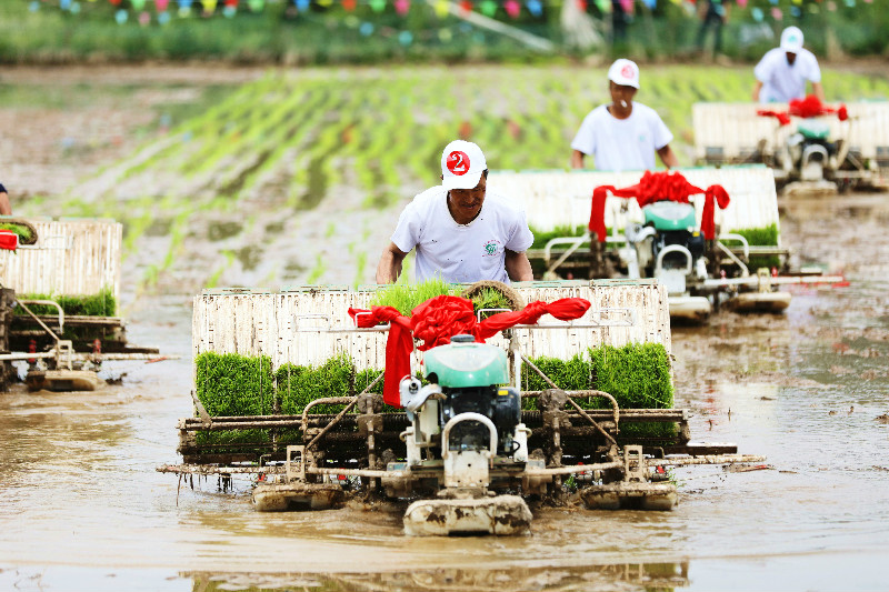 webwxgetmsgimg (1).jpg