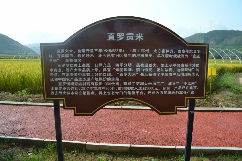 webwxgetmsgimg (1).jpg