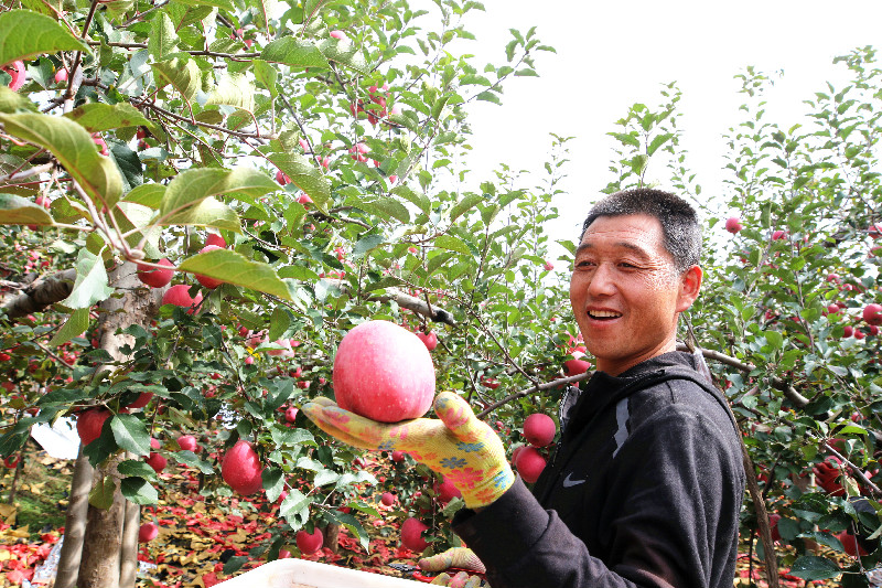 webwxgetmsgimg (5).jpg