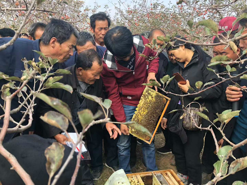 webwxgetmsgimg (3).jpg