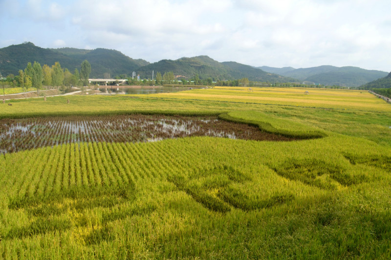 webwxgetmsgimg (9).jpg