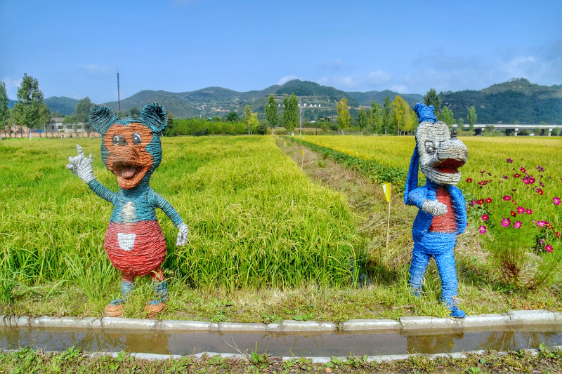 webwxgetmsgimg (14).jpg