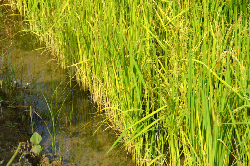 webwxgetmsgimg (8).jpg