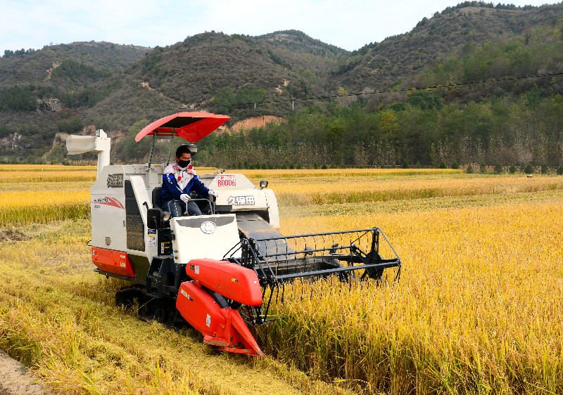 webwxgetmsgimg (2).jpg